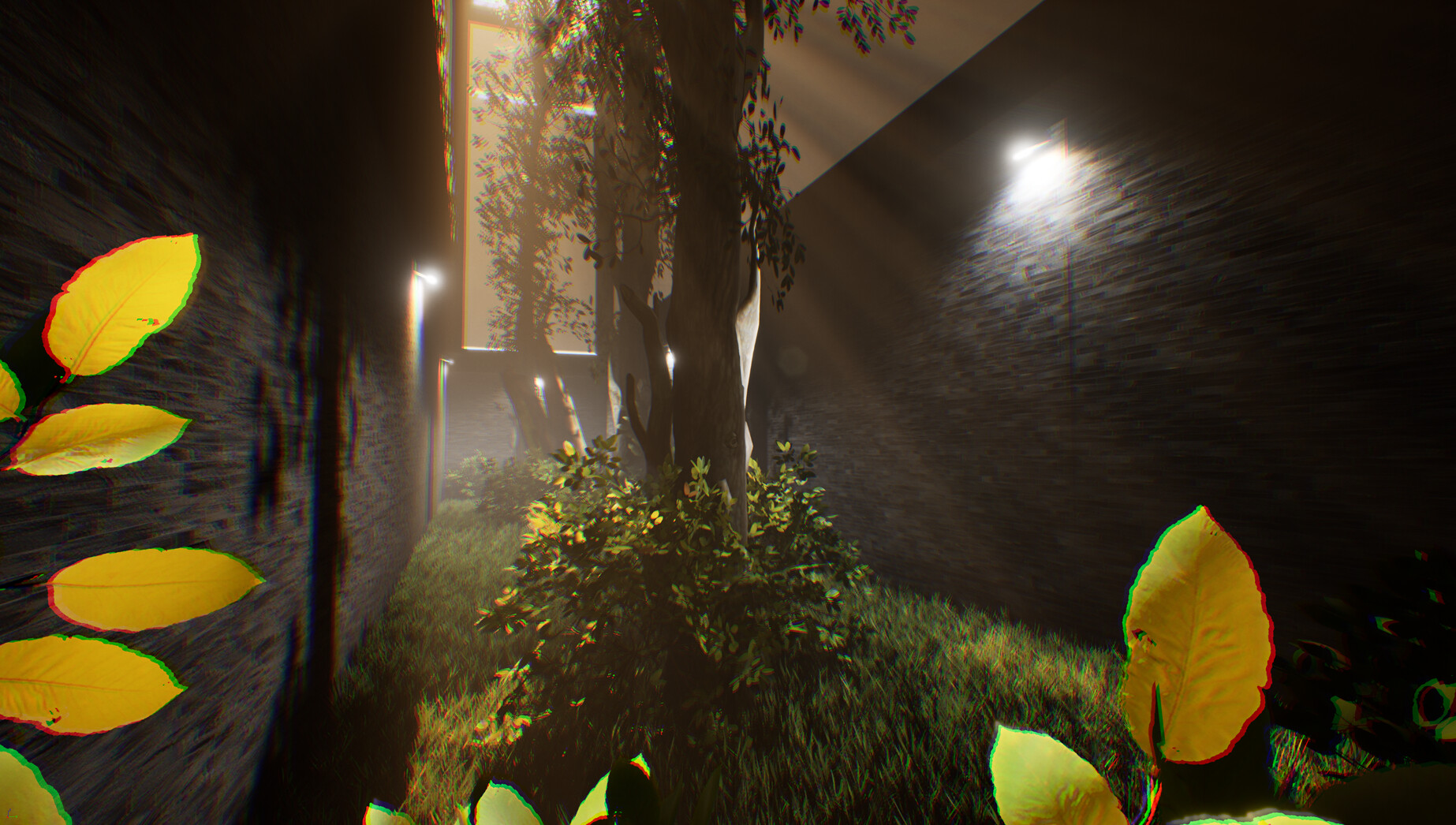 DIS RECALL work in progress preview